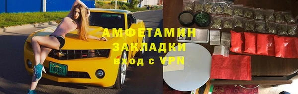 индика Фурманов