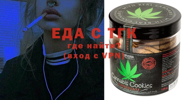 индика Фурманов