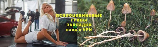 ECSTASY Зерноград