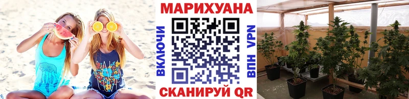 Купить  Спасск  Канабис OG Kush 